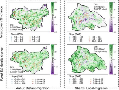 Spatial relationships between labor migration and forest change