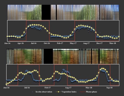 Crop phenological information revealed by remote sensing observations and validated by ground images captured by cameras ([Liu et al. 2020](https://www.qzgeog.com/publication/p2020-liu-crop/))