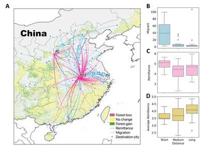 Fig. 1. Telecoupling relationships between rural and urban areas through migration and remittance flows.