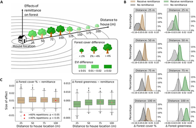 Fig. 2. Effect of remittance by migrants on change in forest coverage and greenness.